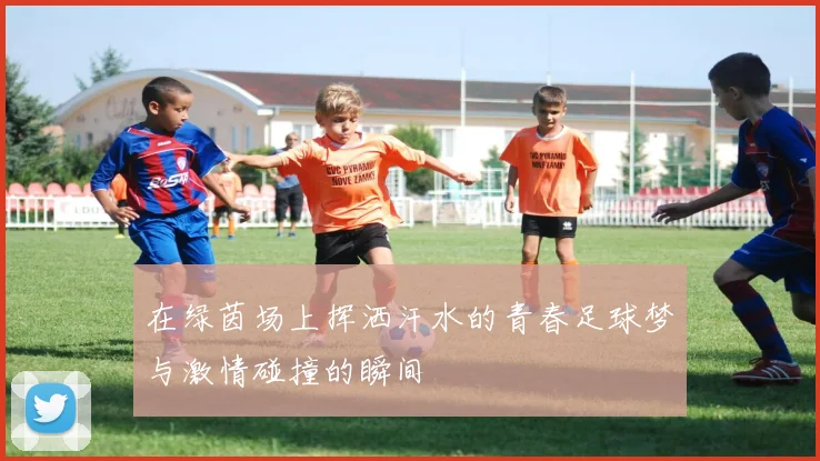 在绿茵场上挥洒汗水的青春足球梦与激情碰撞的瞬间