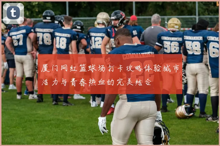 厦门网红篮球场打卡攻略体验城市活力与青春热血的完美结合