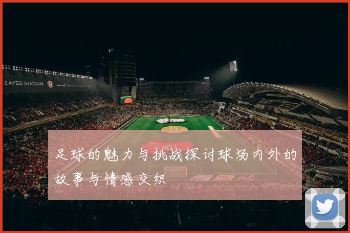 足球的魅力与挑战探讨球场内外的故事与情感交织