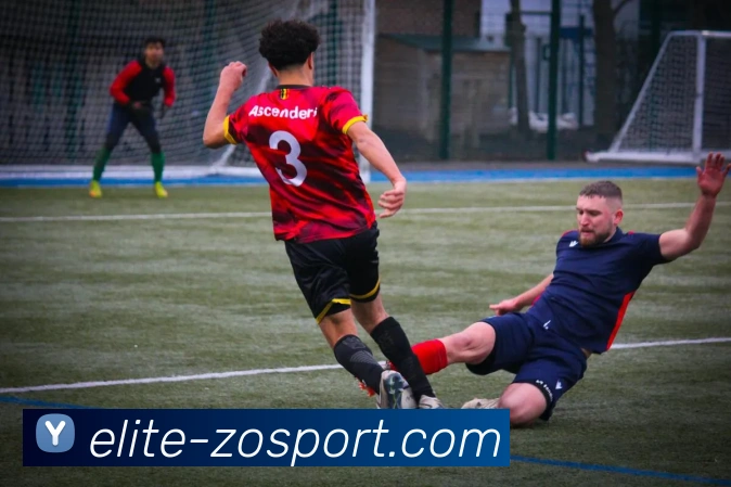 中欧体育平台生态图